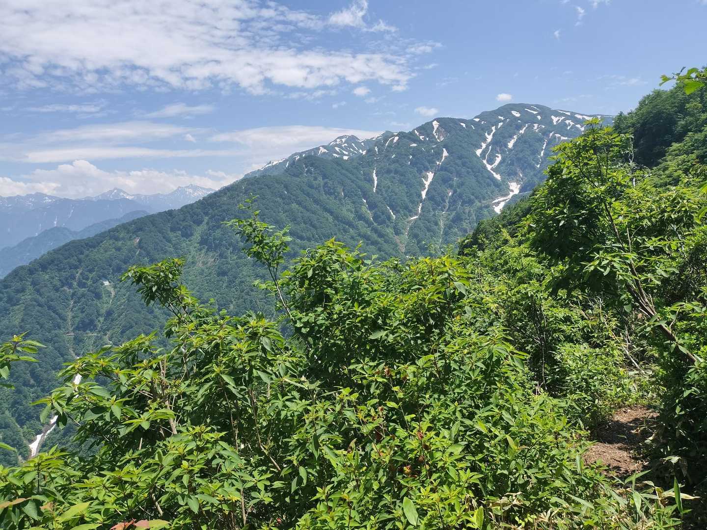 烏帽子山 往復コースの写真