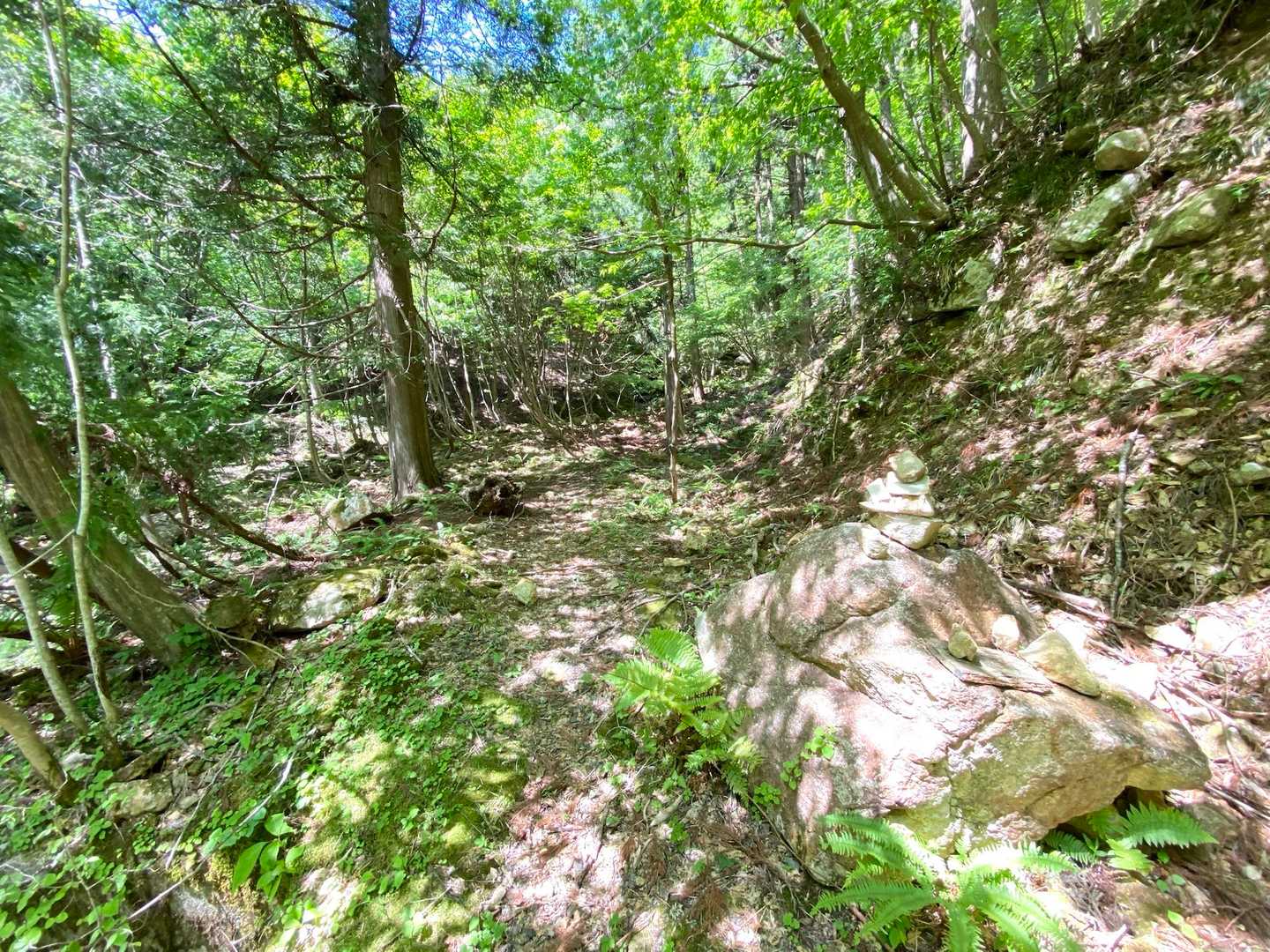 日永岳登山口🍃