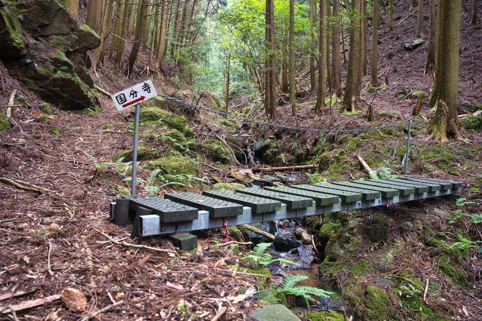 国分寺の方に戻ります。