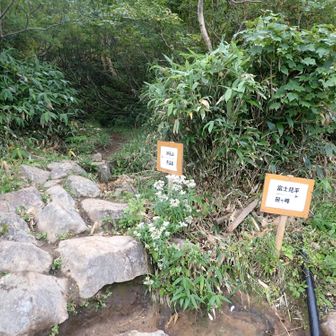 妙高山へ
