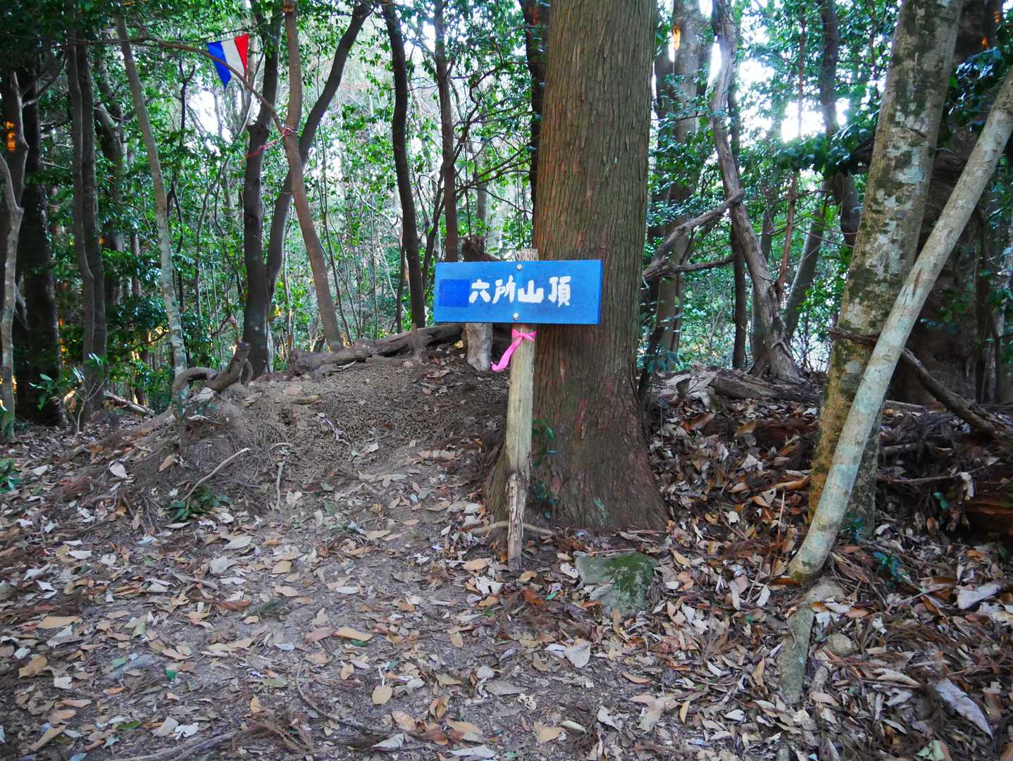 六所山に到着。展望は無い。