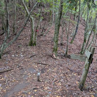 標識に地名はありませんが、ここがジョーリヌキデイラと思われます。靴は脱ぎませんが一息つきました。😄