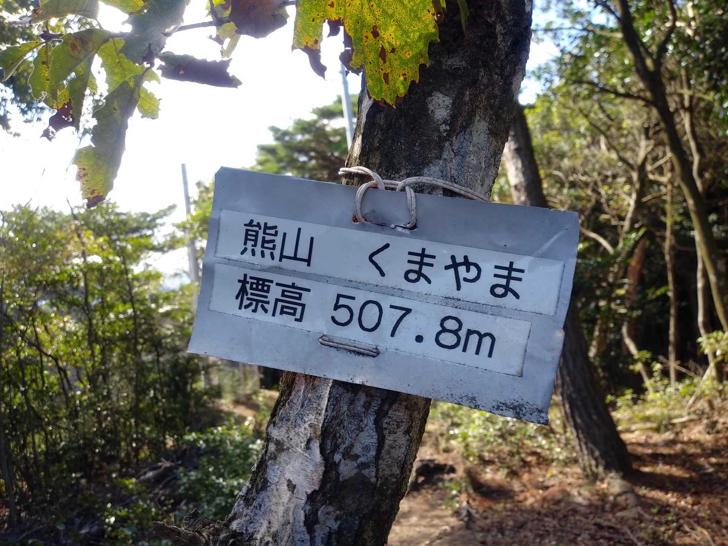 DOCOMOの電波塔へ向けて歩けば山頂到着です🙌
三角点もありますよ😊