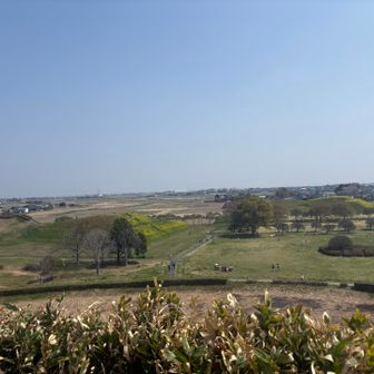こちら側は稲荷山古墳や将軍山古墳を見渡せます。
本当に見事なまでの前方後円墳なのがとてもよく分かります。