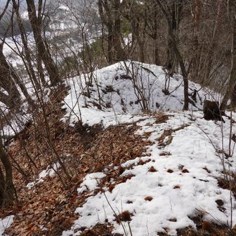 来た方以外の尾根にも2方向ピンテがついていた。別の方から降りる