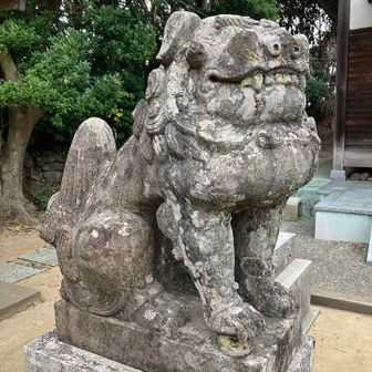 すごく気に入った。