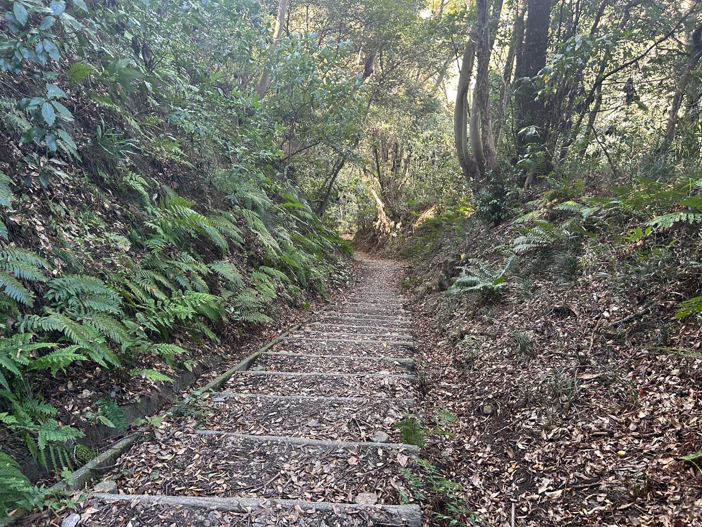 下りの階段も中々きつい
膝の踏ん張りがまだまだと実感させられました