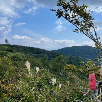 YAMAP上の夕暮れ山山頂