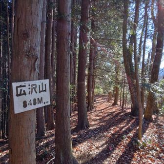 広沢山到着。ここまでもなかなか急な下りだったが、ここから更に急に、左手の谷足元切れ落ちていて、ザレた感じあり、気を使う下りだった！