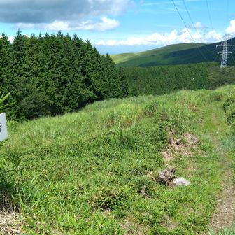 鉄塔巡視路へ