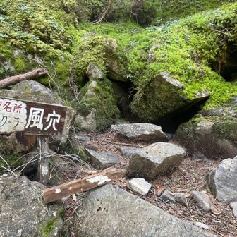 風が吹いてるというより、この辺りの空気が冷たかった