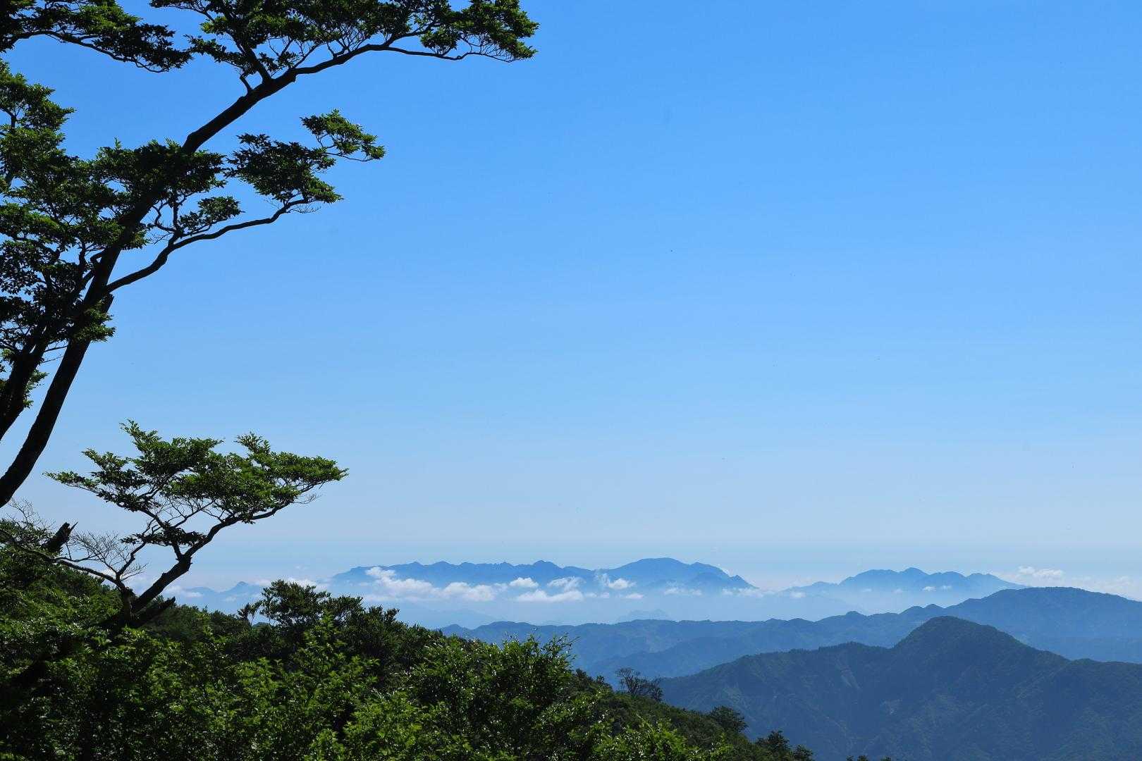 小川岳 往復コースの写真