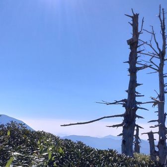 白檜岳山頂からの眺望
山名板は中禅寺湖側の枯木にあります