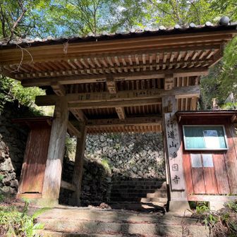 浄因寺山門
