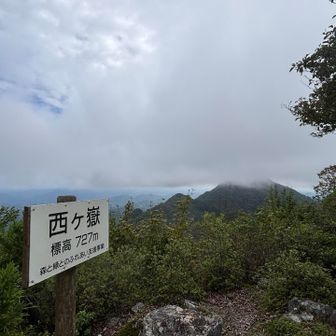西ヶ嶽ちゃく