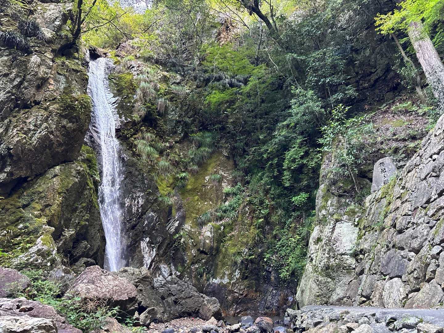 五台山-鷹取山-三和峠 周回コースの写真