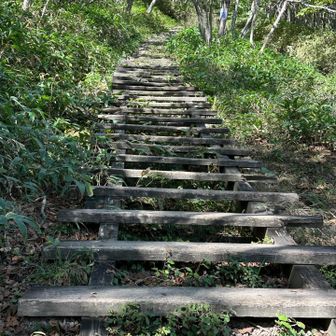 ここから地蔵岳へと
果てしなく続く階段…😂
がんばる💪🏻