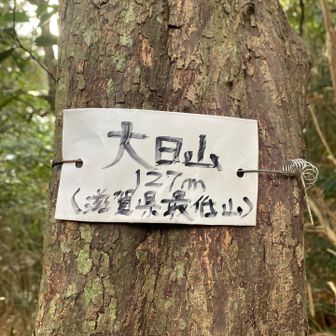 わーい！滋賀県最低峰♪
ピークGET( •̀ᴗ•́ )و ̑̑