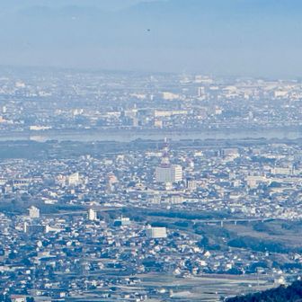 タクトまで見える。