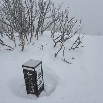 kmが分かるの嬉しい