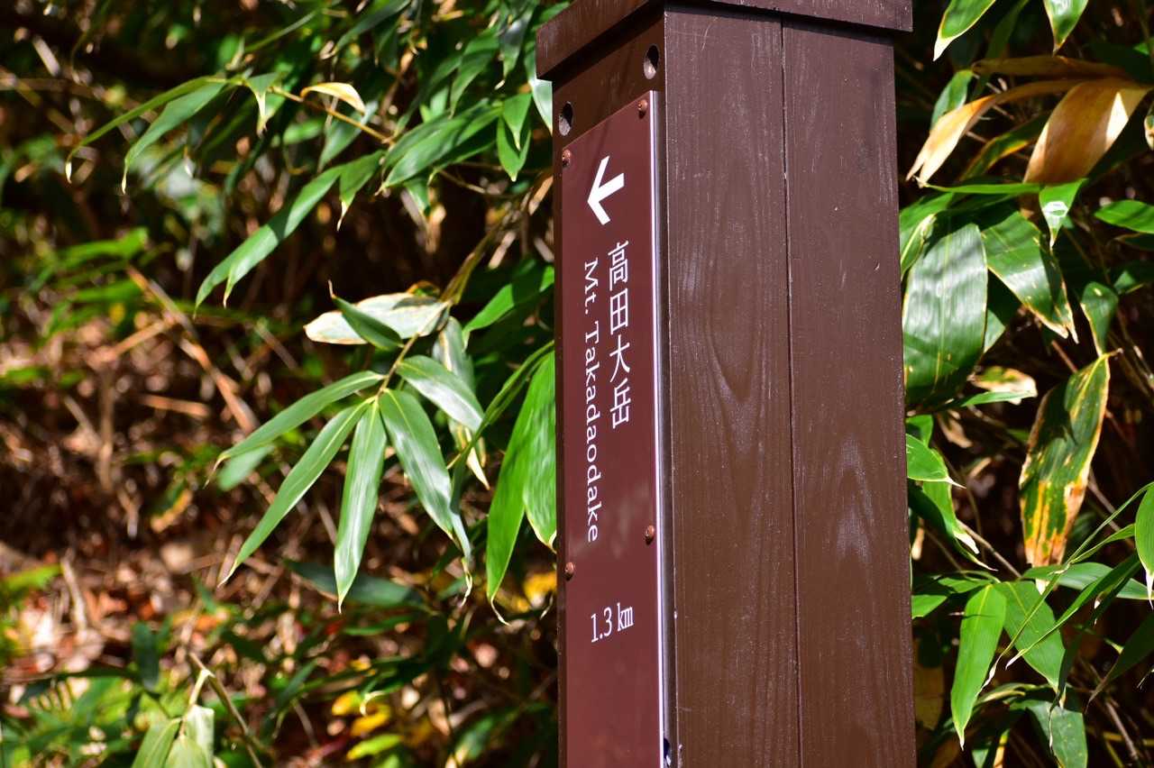 新しい標識が建てられてます