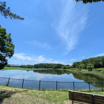 大泉池