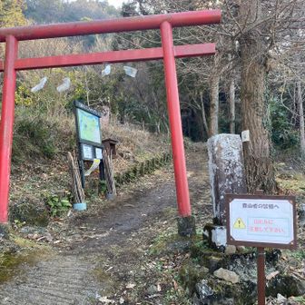 車道から見るとこんな感じ⛩️山が御神体なのかな
