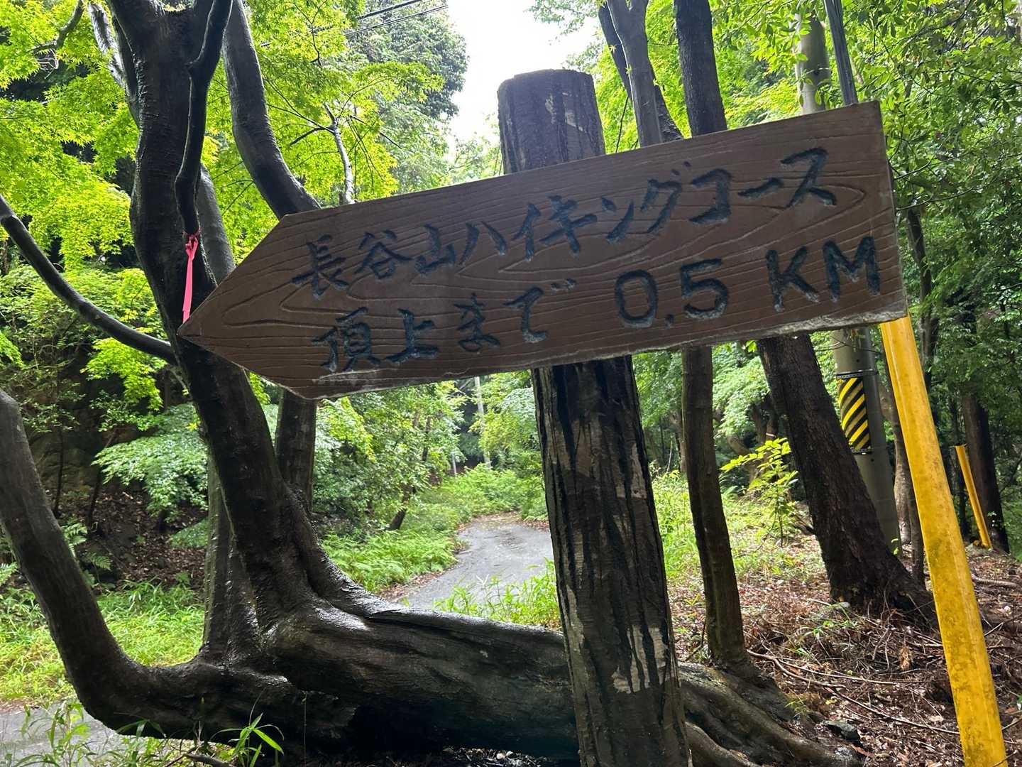 舗装路に出る