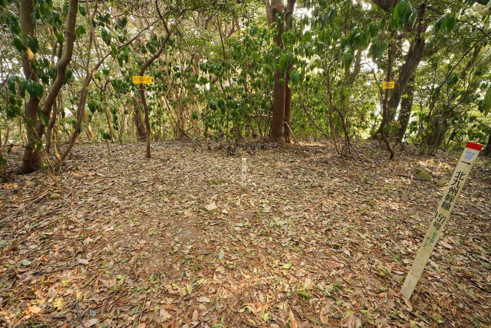 大平山北峰に到着
眺望はない。
ここから赤木峠へ降りていけるようだ。もしかすると、権現山（新立山）まで行けるかもしれない。いつか試してみよう。