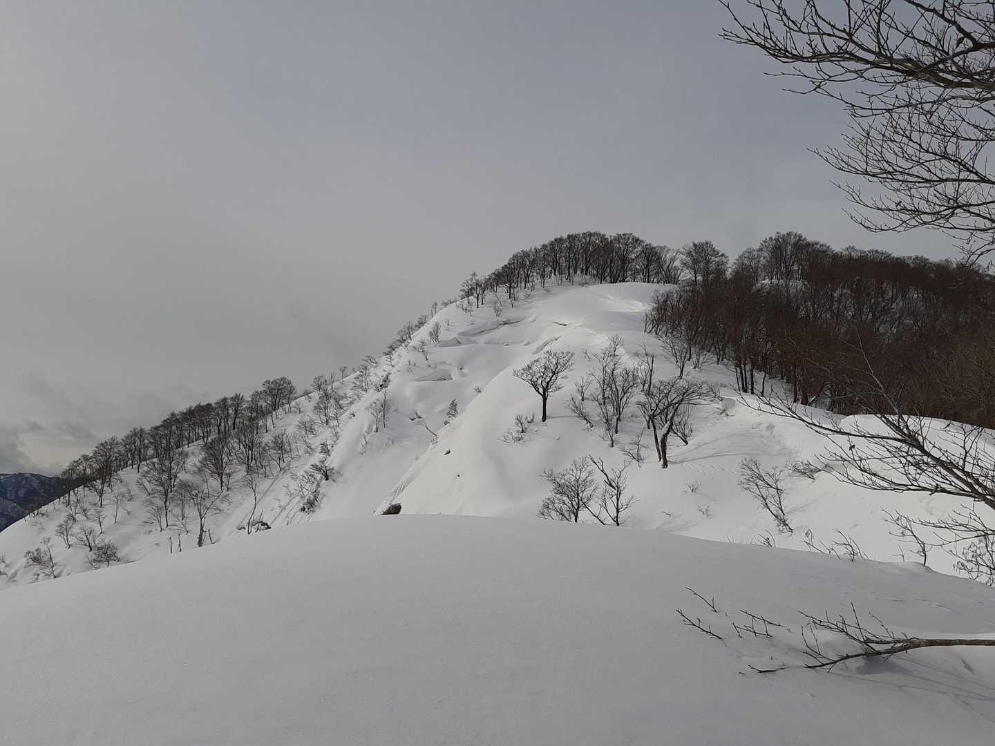 もう少しで山頂です。