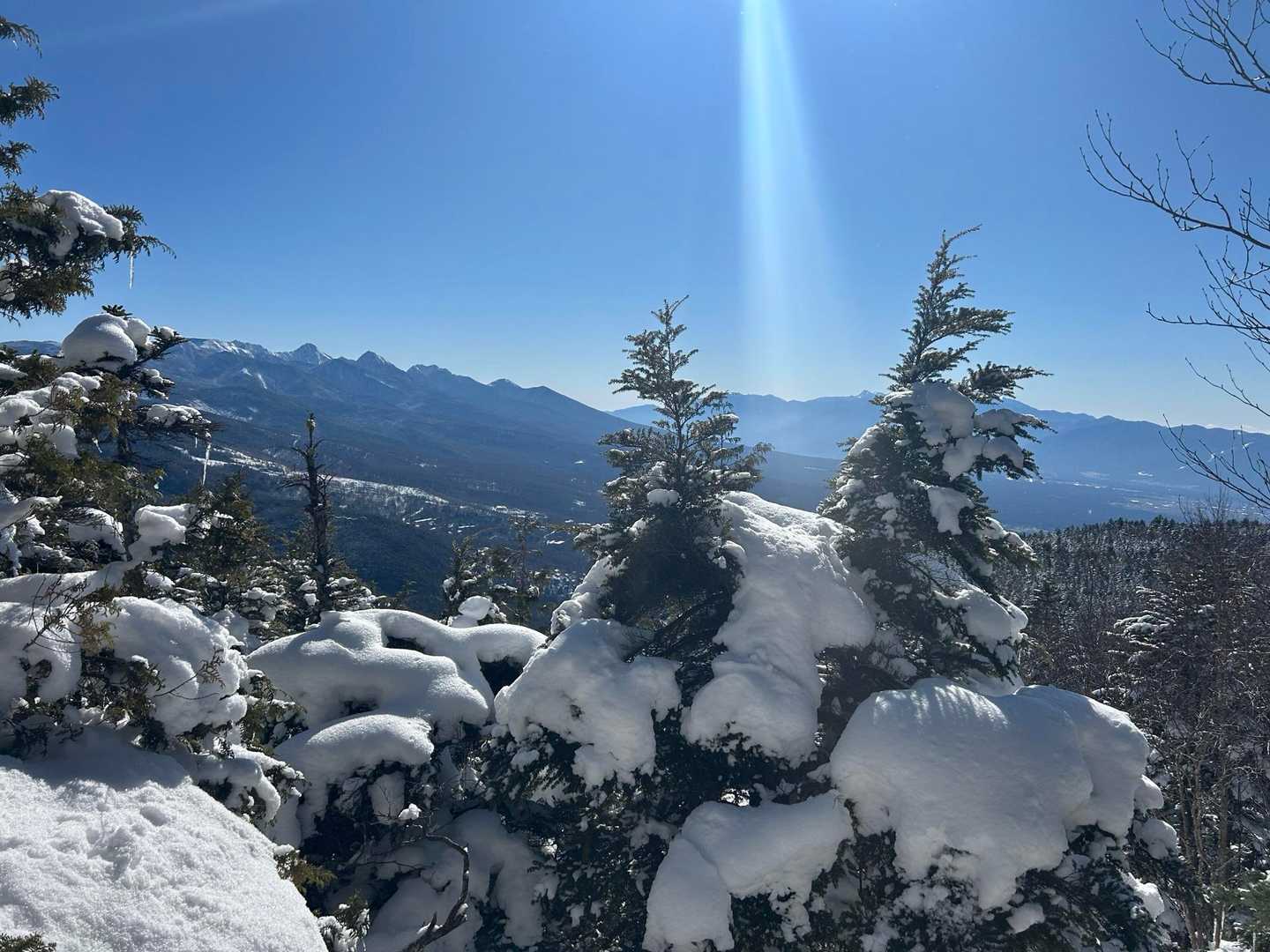 すずらん峠-蓼科山 往復コースの写真