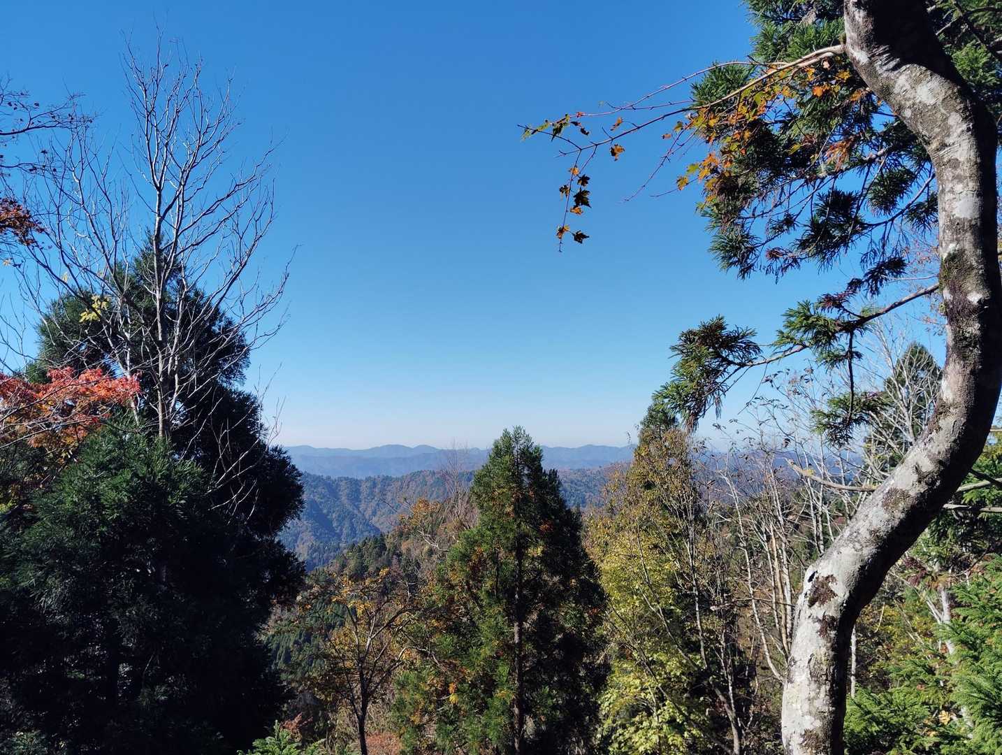 ブナノキ峠山頂はおそらく展望が期待出来ないであろうので、開けた箇所から垣間見える展望を撮っておく🥴
