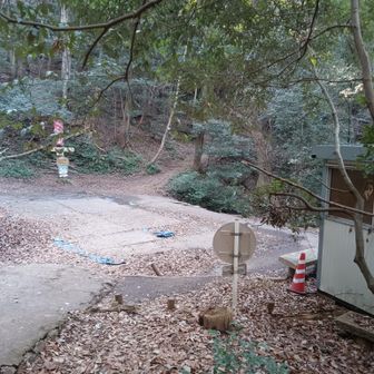 此処の囲いもはずされて、昨年の工事跡がほぼ無くなりました