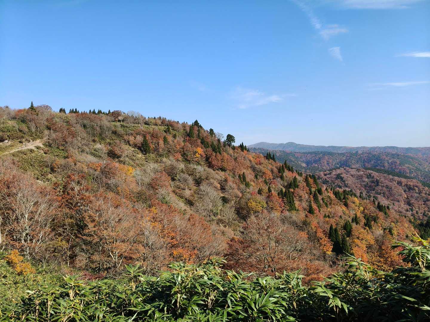 高清水トレイル登山口-大畝山-御林山-池川山-ブナの谷頭- 往復コースの写真