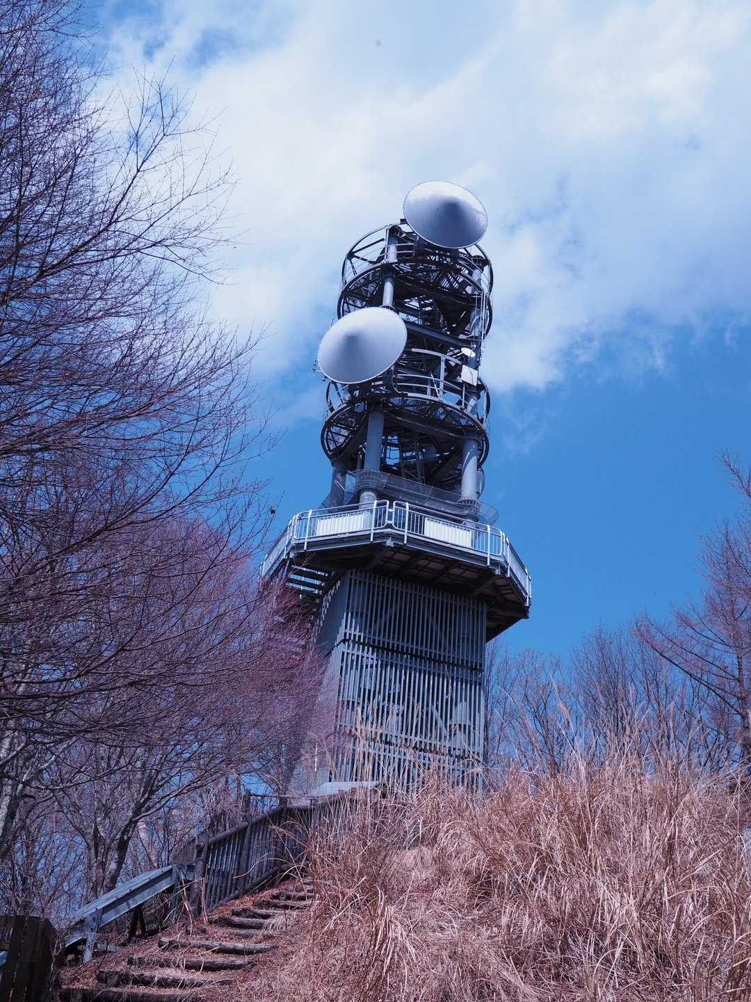 電波塔📸