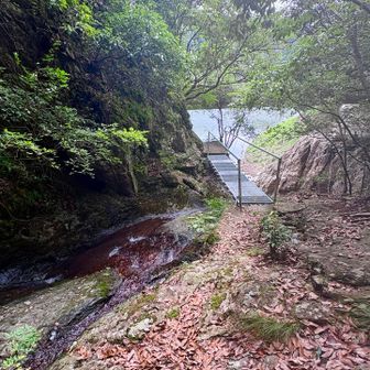 湖に注ぐ 沢のそばに出た
手と顔と 靴底あらってさっぱり
蜘蛛の巣ストックもきれいになった 
蜘蛛の糸の支配からの   卒業〜