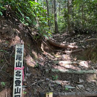 北登山口から下山します。