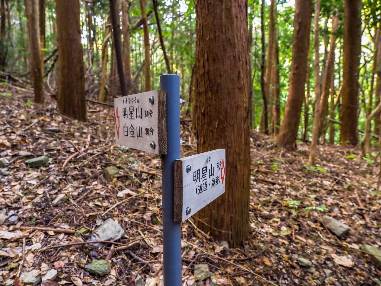 漢は黙って、近道・急登コースへ😤