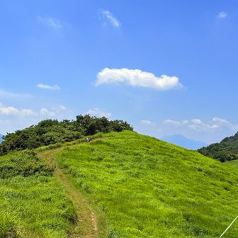 振り返って　かん太さんを探せ🔍