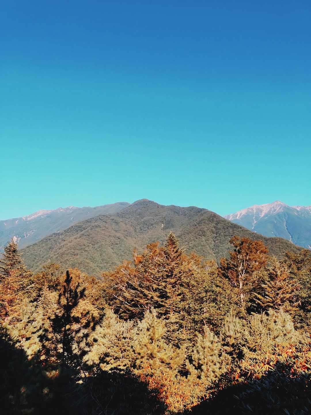 上河内岳やら