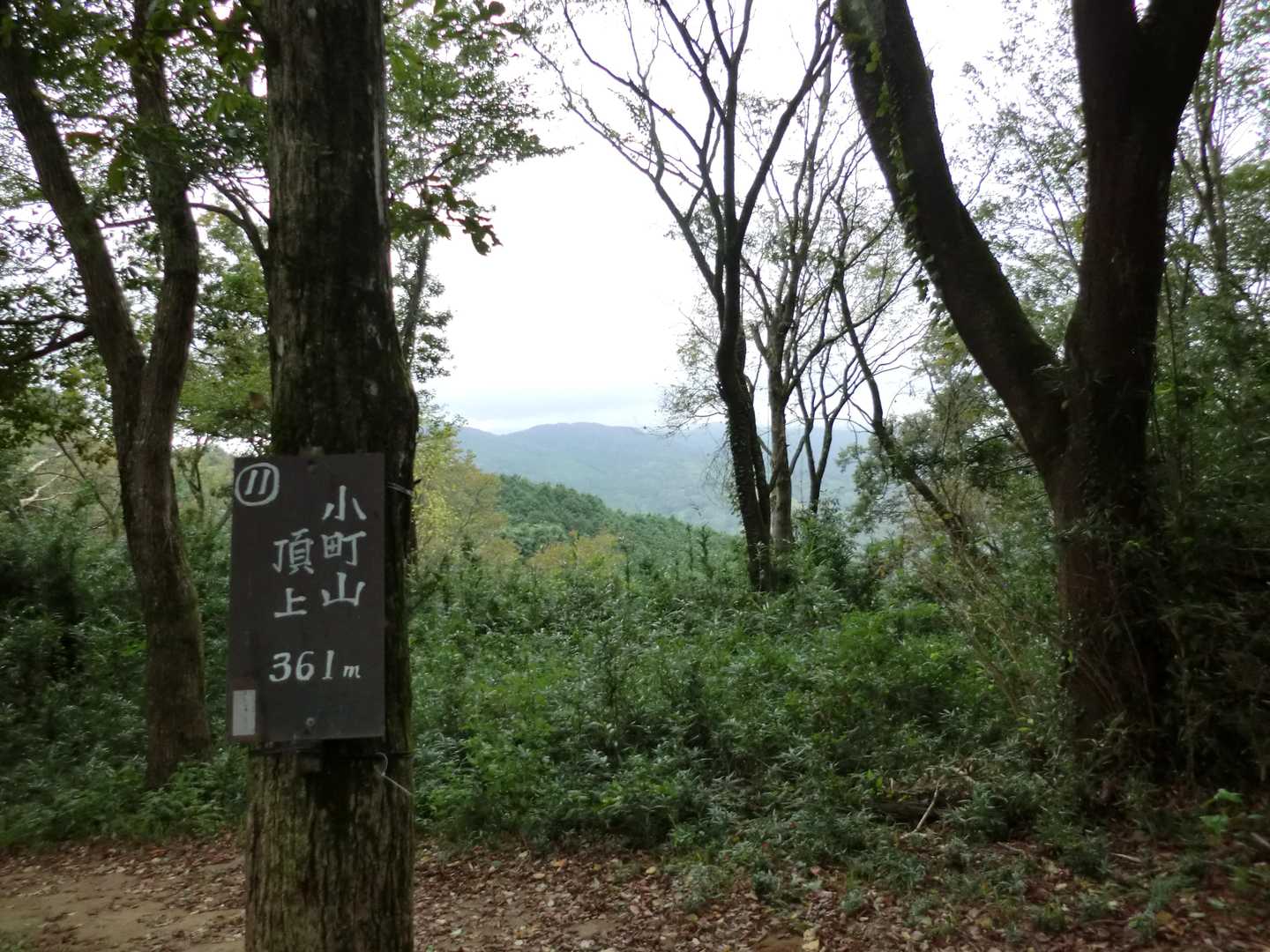 小町山ピーク。晴れていて雲無ければ筑波山が綺麗に見えるけども今日はイマイチ。ですが私が駐車場出てから急に晴れてきたので後から来た人は見れたかと。