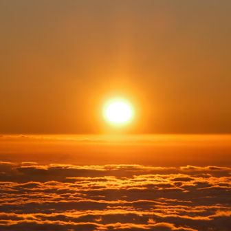 もう太陽に吠えろですやん！
