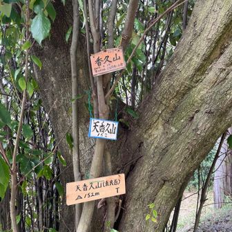 香具山は標高152m