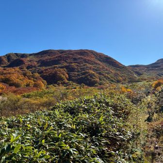 樹林帯が終わり、いよいよ登り💦