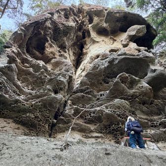 天狗岩。こんな岩見たことないです、凄い・・・