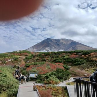 標高1600の姿見駅
森林限界を超えたところからスタート