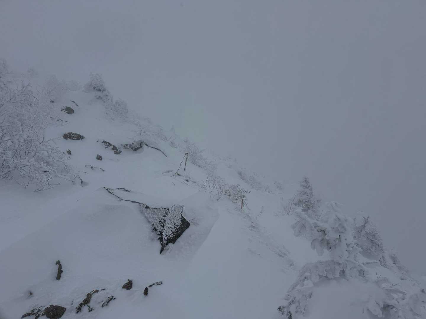 中山峠-東天狗岳 往復コースの写真