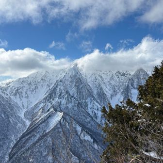まだ帽子かぶってますわ