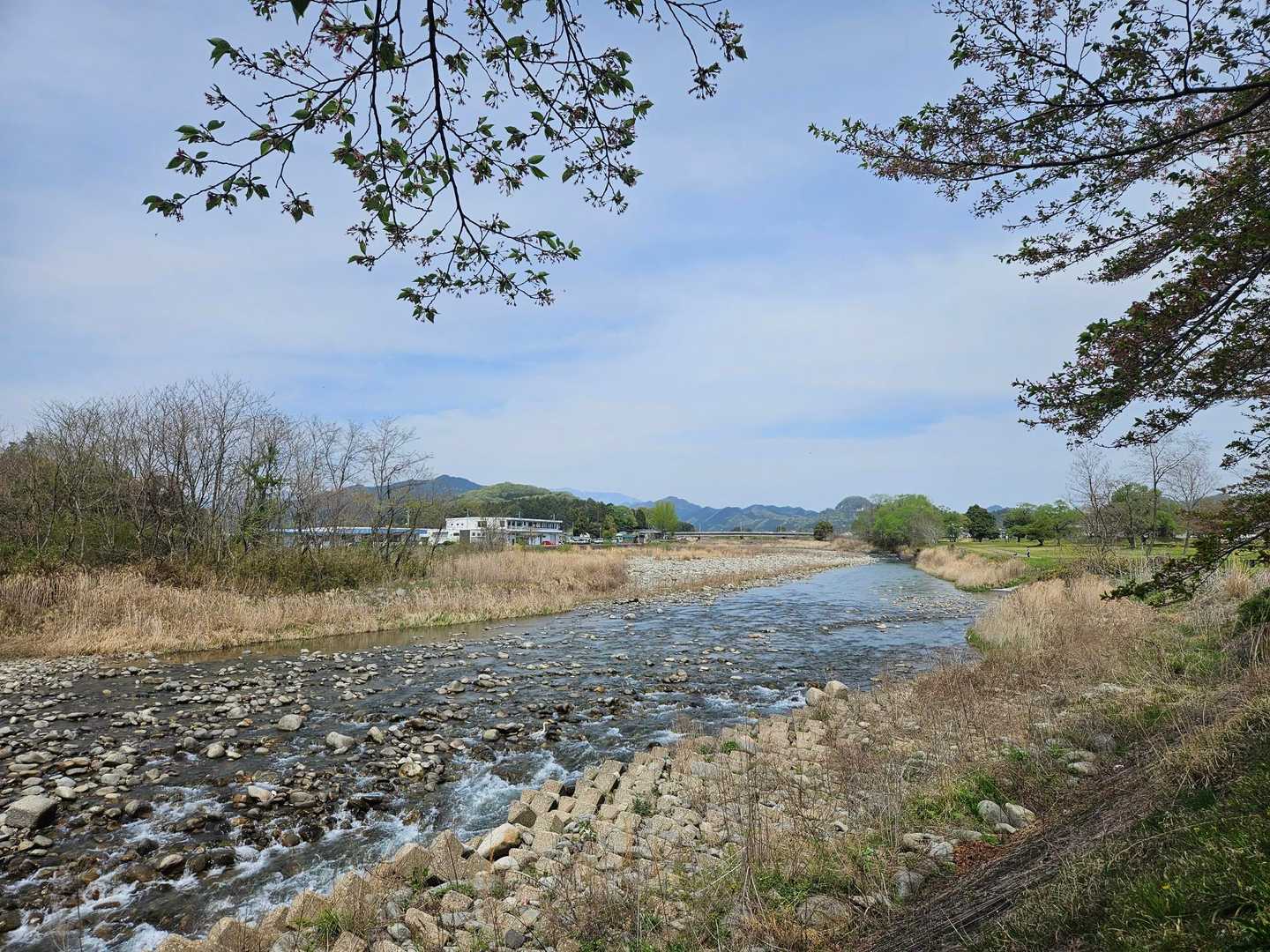 夏場は人で溢れる大芦川
