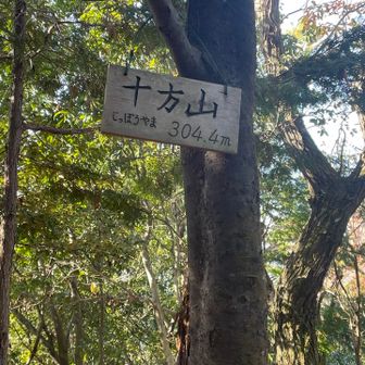 じっぽうやま(読めん‼️)登頂